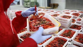 中国人民大学盱眙龙虾美食品鉴活动成功举办