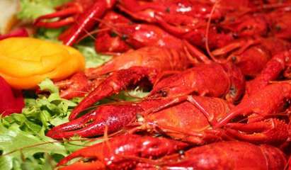 摩尔庄园麻辣小龙虾 用产品与服务赢得美食消费者