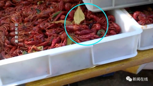 深夜加工的小龙虾调料 小区食品加工点背后的隐患